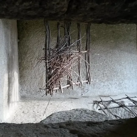 ゲストハウス Farkasko Vendeghaz ノスヴァイ