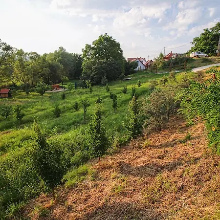 Farkasko Vendeghaz 3*